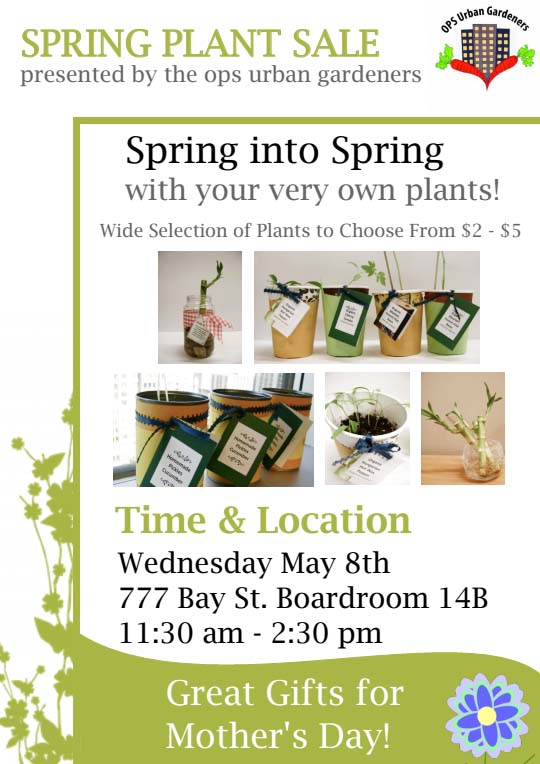 Graphc elements: plants in cups and bamboo in glass cup. Spring Plant Sale "Spring into Spring with your very own plants"