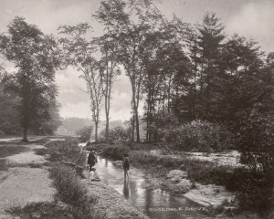 rosedale valley with 2 boys standing in stream surrounded by trees and paths